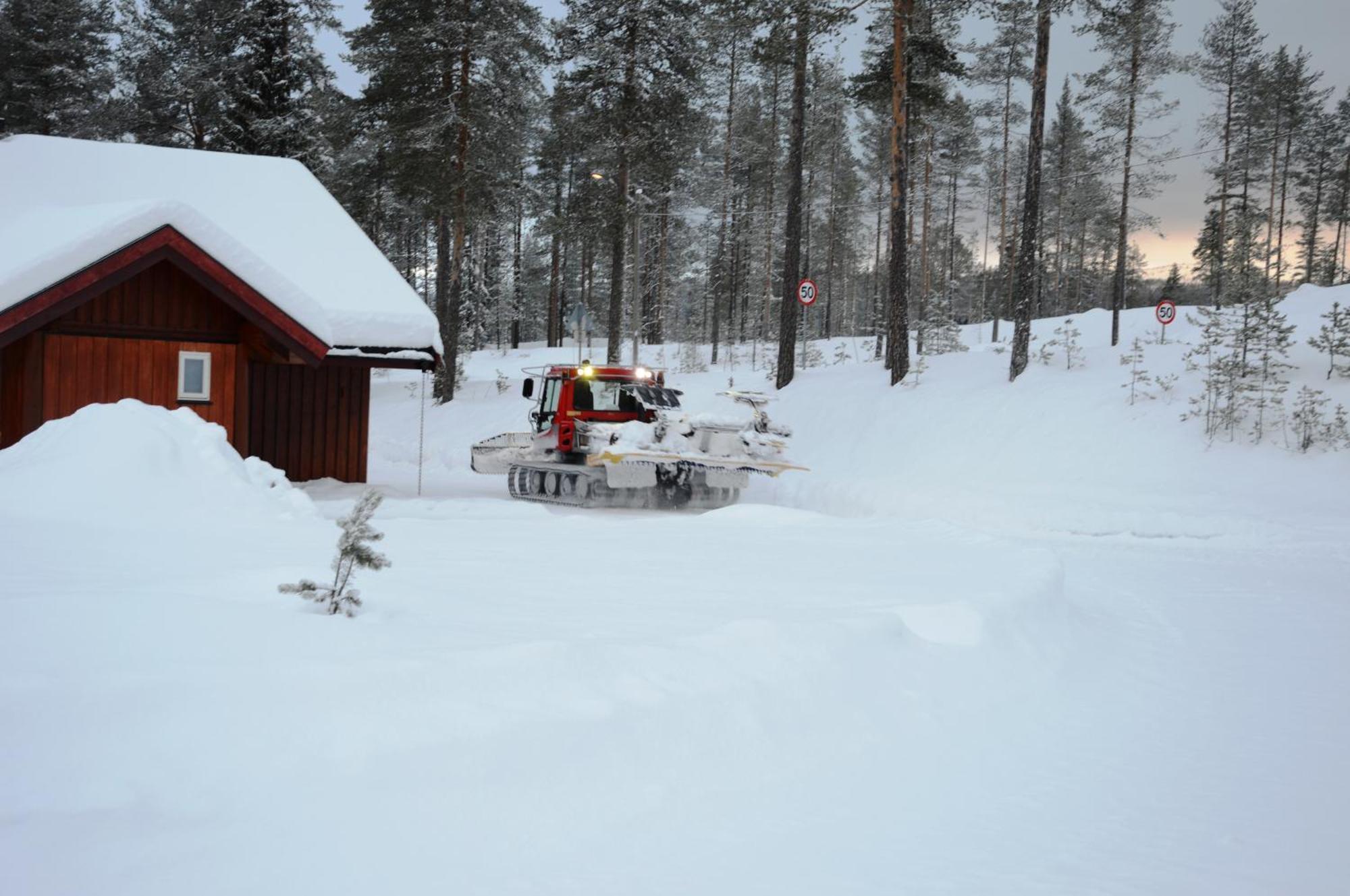 16 - Fulufjellets Nasjonalparker - Natur-, Dyre- Og Fugleopplevelser Ljørdal Exterior foto