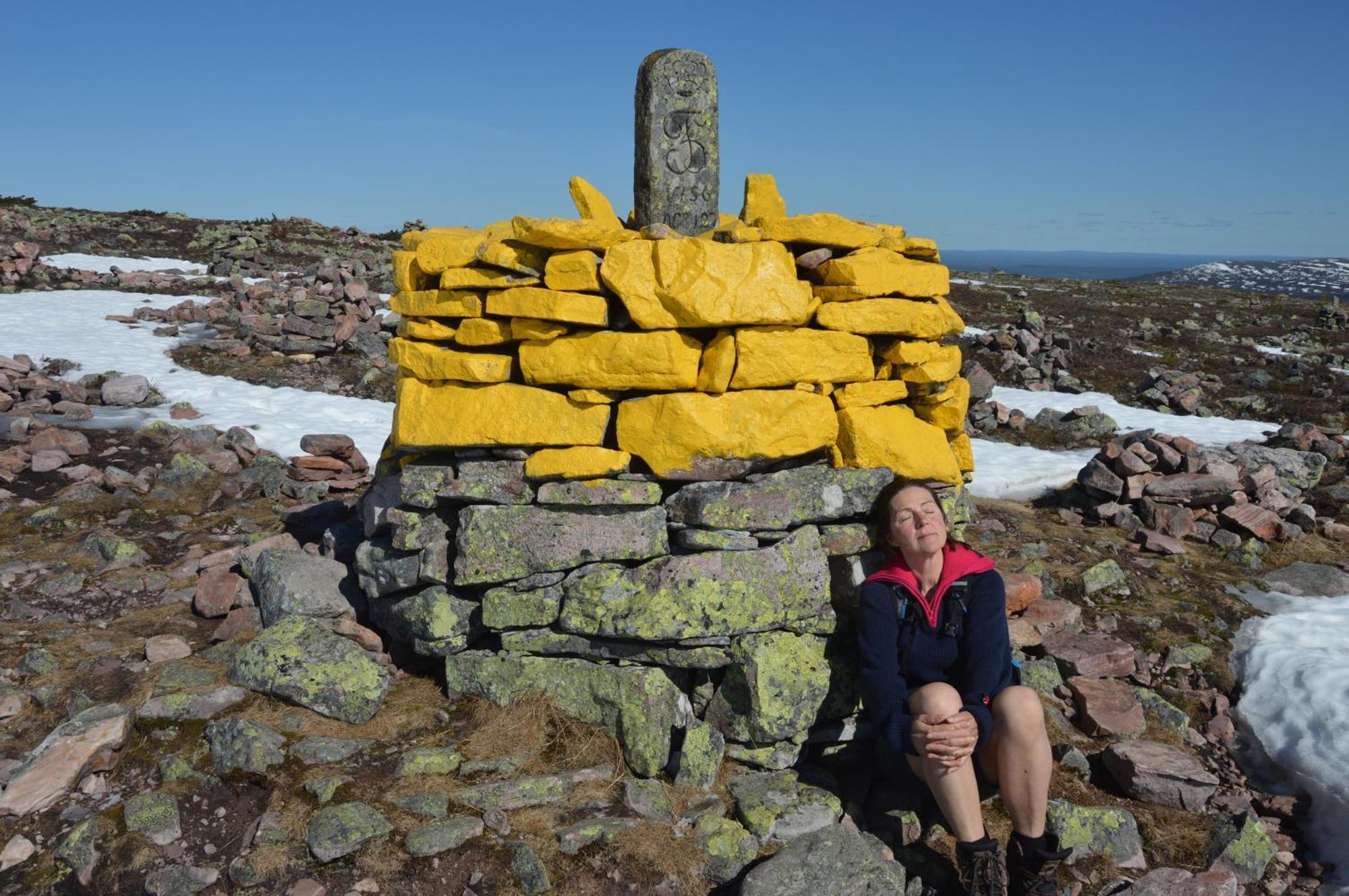 16 - Fulufjellets Nasjonalparker - Natur-, Dyre- Og Fugleopplevelser Ljørdal Exterior foto