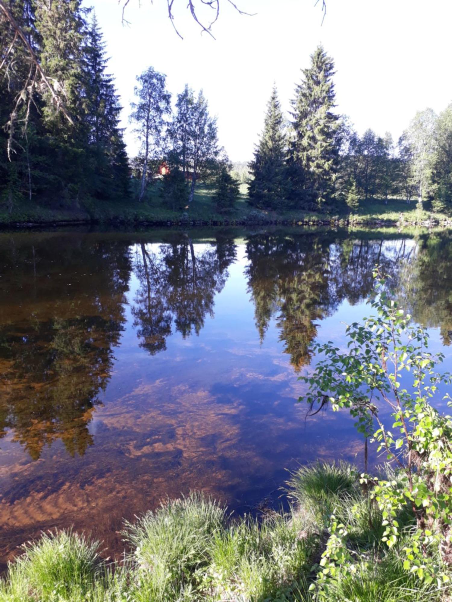 16 - Fulufjellets Nasjonalparker - Natur-, Dyre- Og Fugleopplevelser Ljørdal Exterior foto